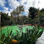 Gasthof Ana Cluj-Napoca